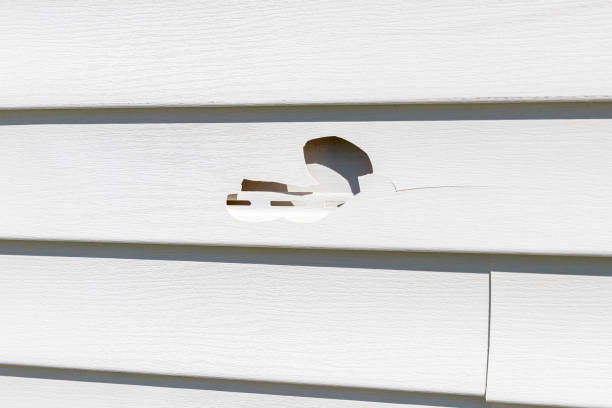 Best Property Management Cleanouts  in West Swanzey, NH